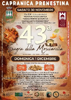 https://www.anticofornodelborgo.it/immagini_news/29/l-antico-forno-del-borgo-alla-43-sagra-della-mosciarella-a-capranica-prenestina-29-600.jpg